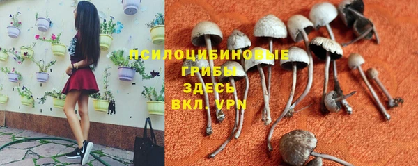 прущая мука Абдулино
