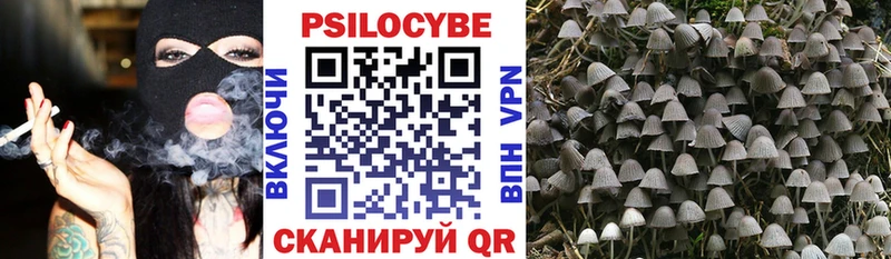 купить закладку  Азов  Галлюциногенные грибы Psilocybe 